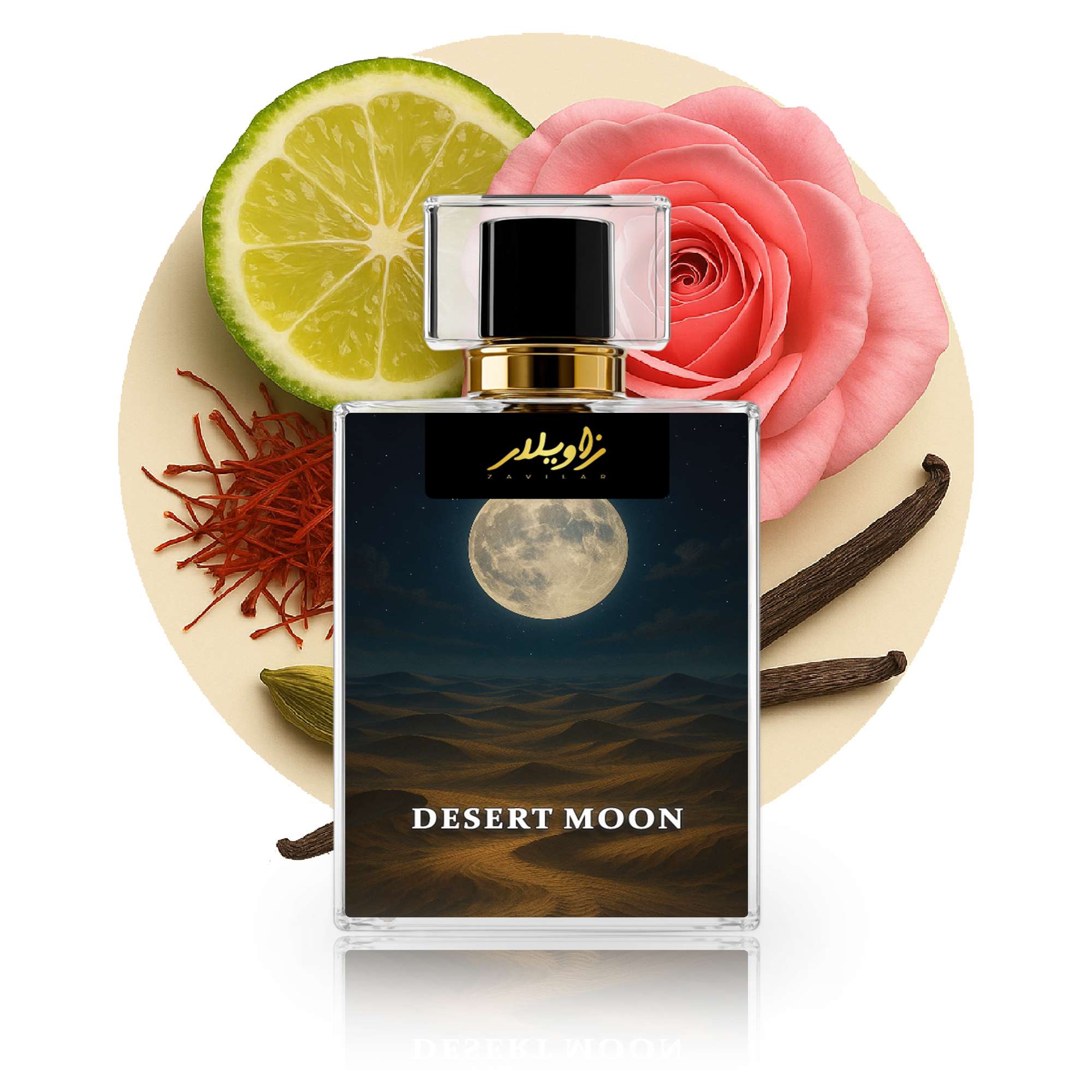 Desert Moon